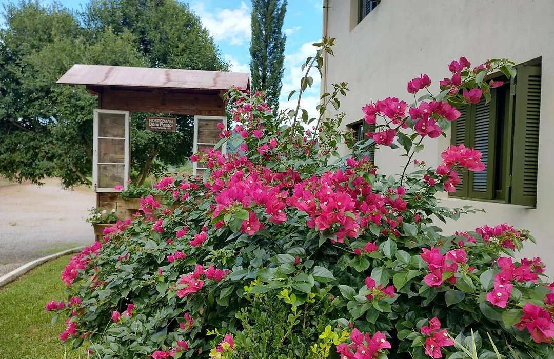 Hospedaria Bom Pastor-1
